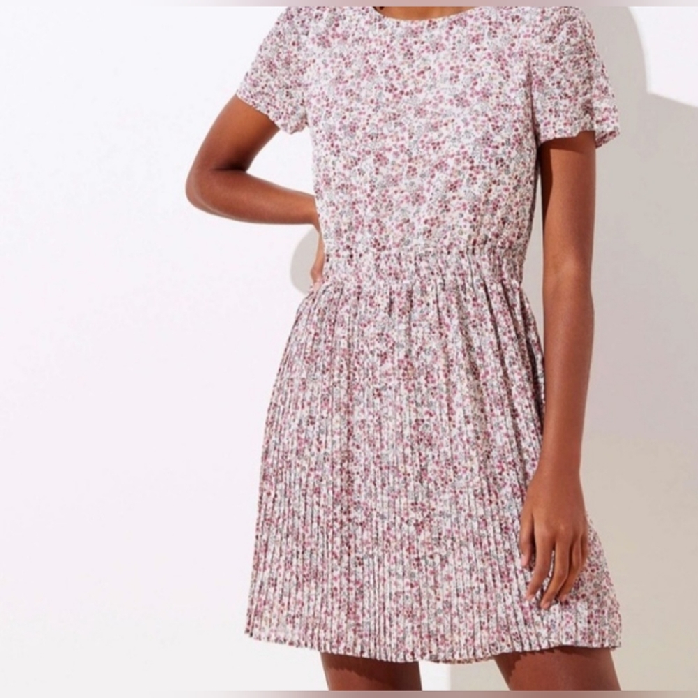 LOFT Plus Garden Pleated Flare Dress 14W